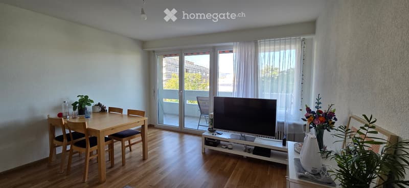3.5 Zimmer Wohnung mit Garagenabstellplatz (2)