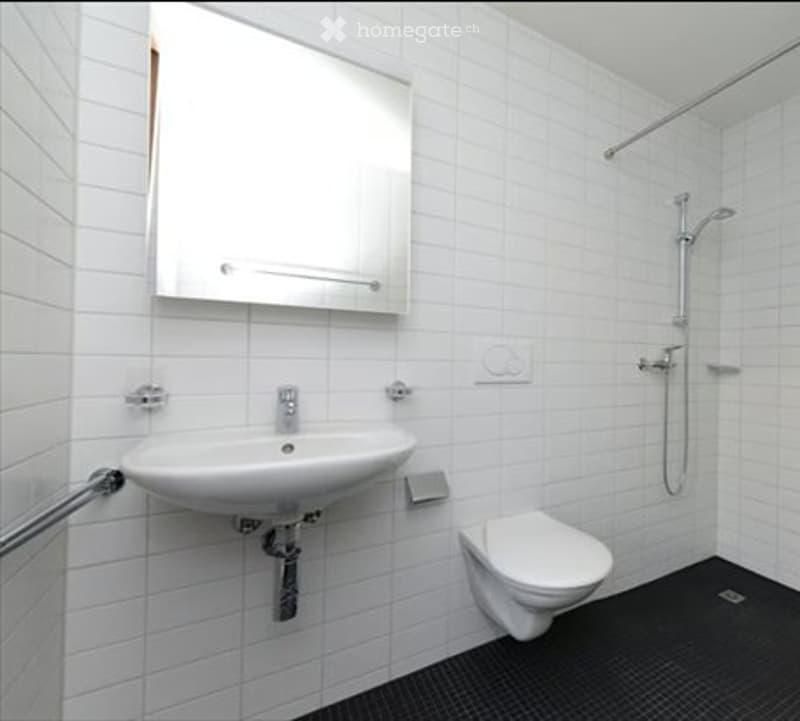 Schöne und helle 4.5 Zi Wohnung im Bieler Stadtzentrum (4)
