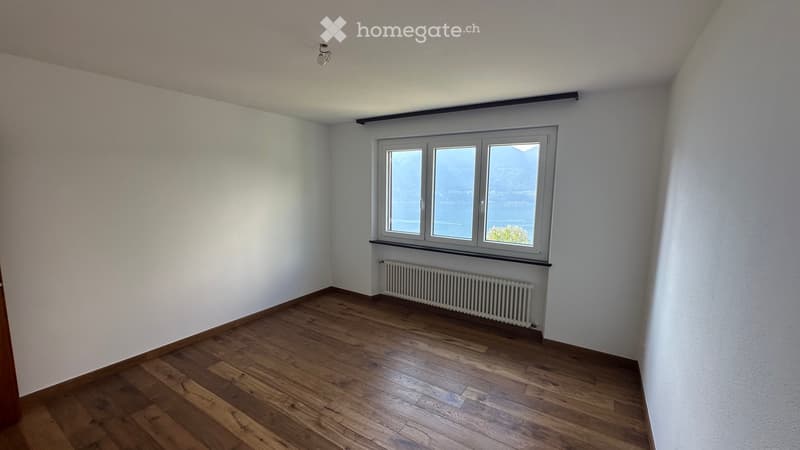 neu renovierte 2.5 Zimmer Wohnung mit Seesicht und PP (3)