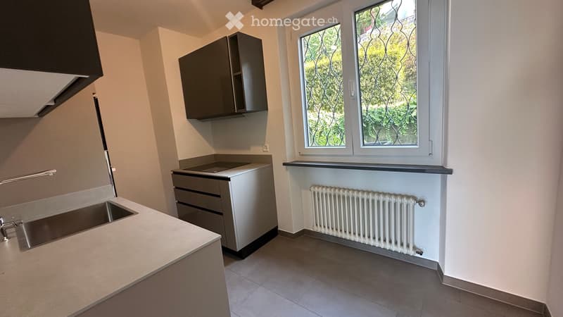 neu renovierte 2.5 Zimmer Wohnung mit Seesicht und PP (5)