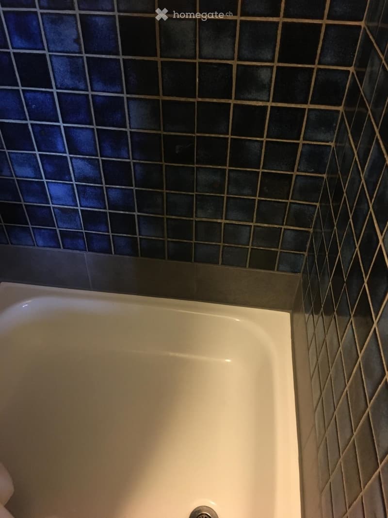 Studio zu vermieten mit schöner Aussicht. (4)