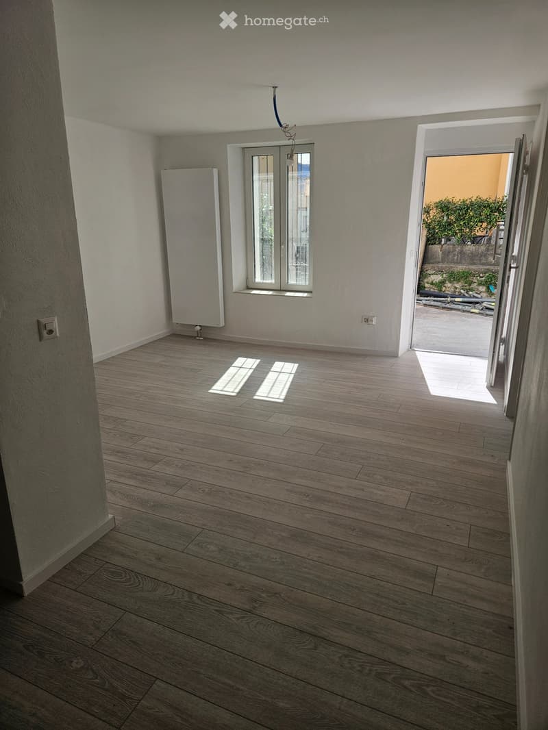 Affitto appartamento 2 1/2 locali (2)