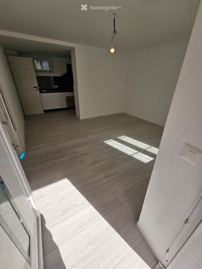 Affitto appartamento 2 1/2 locali (5)