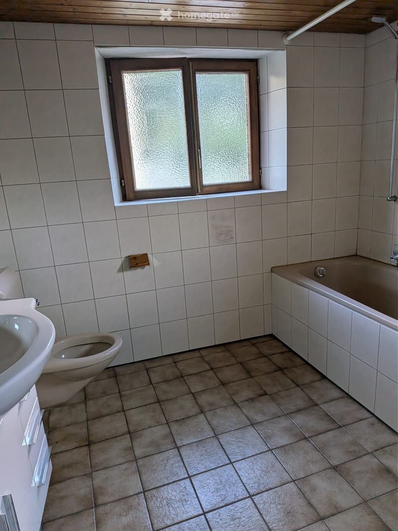 Accogliente appartamento 2.5 locali a Camignolo (4)