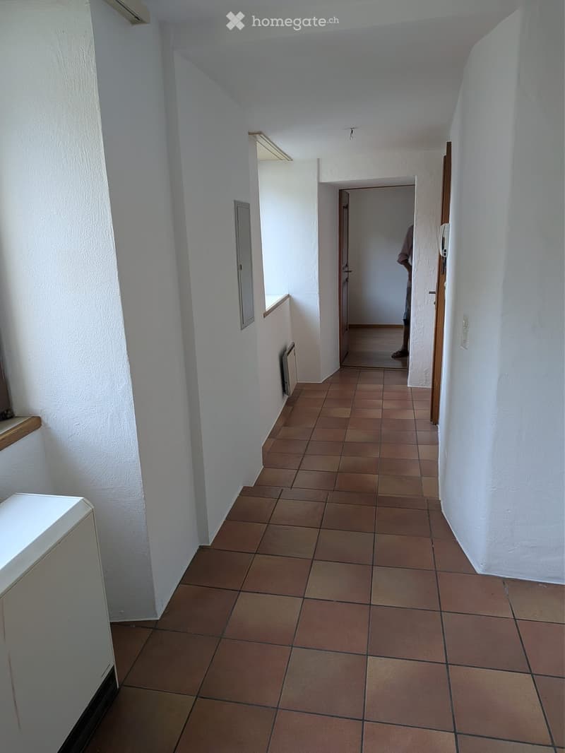 Accogliente appartamento 2.5 locali a Camignolo (3)
