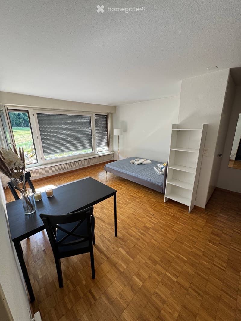 Furnished Studio Apartment near ETH Hönggerberg (4)