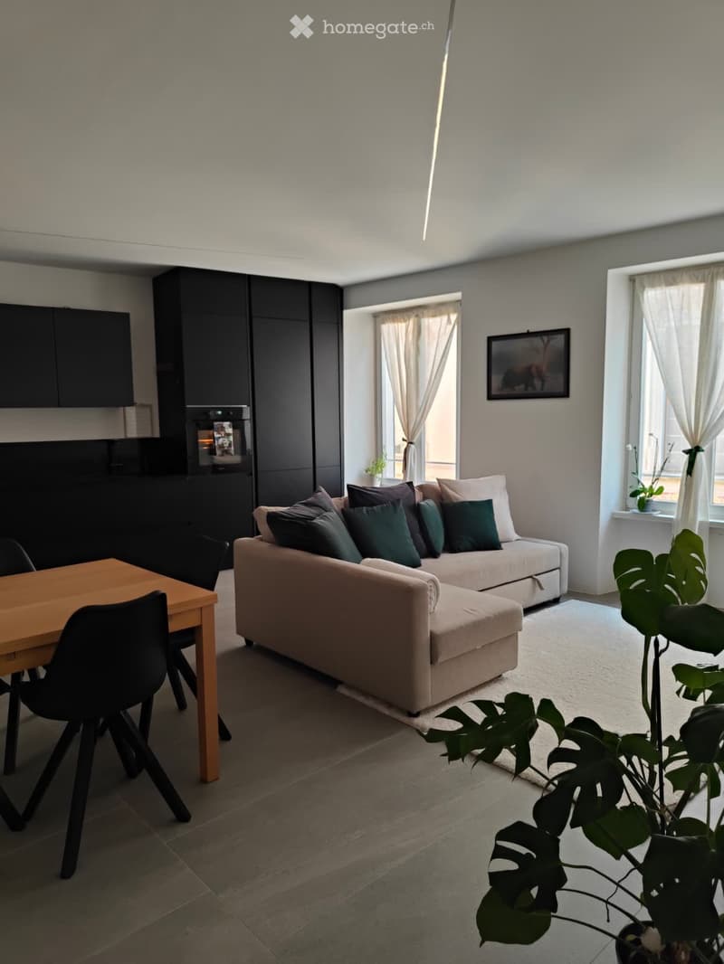 Affittasi stanze in appartamento ammobiliato a Mendrisio (2)
