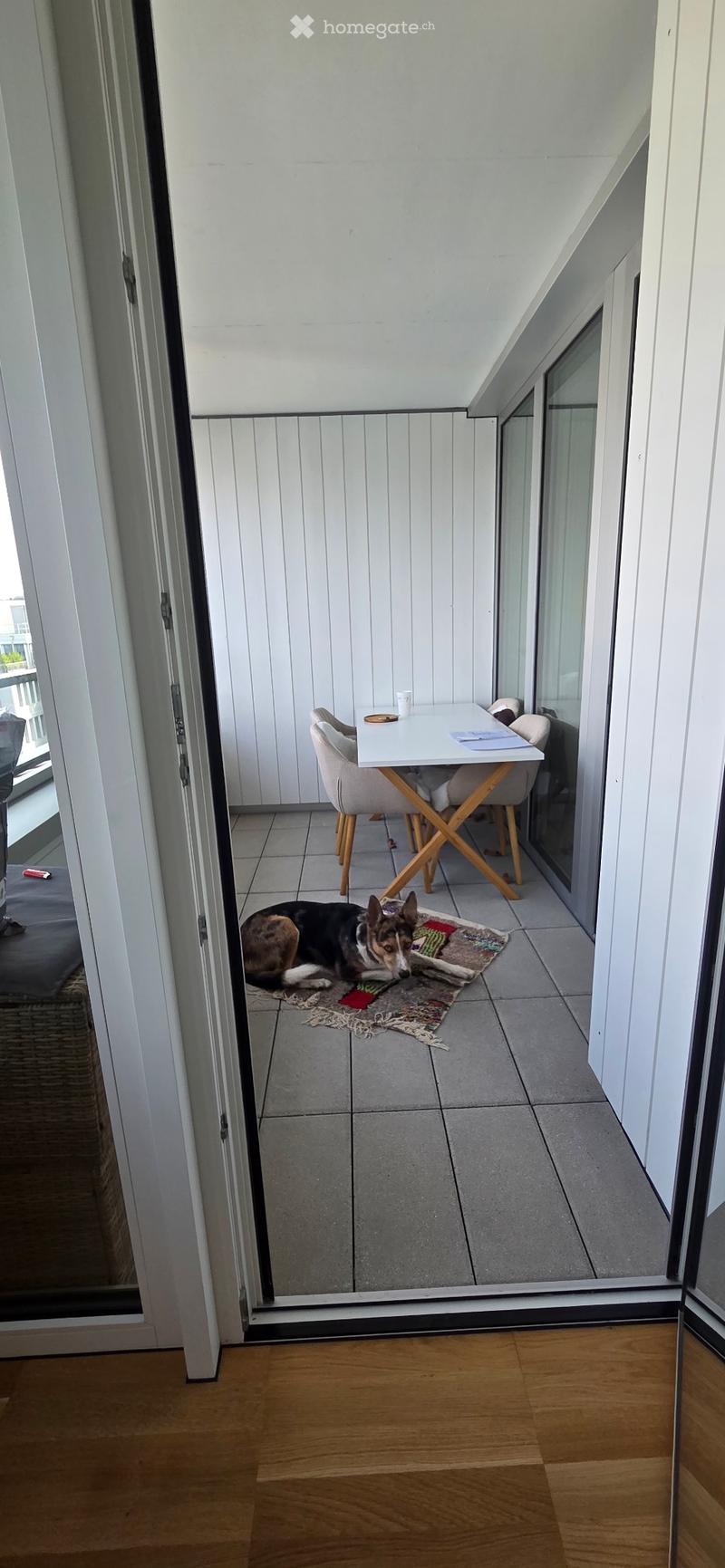 2.5 zimmer in regensdorf (1)