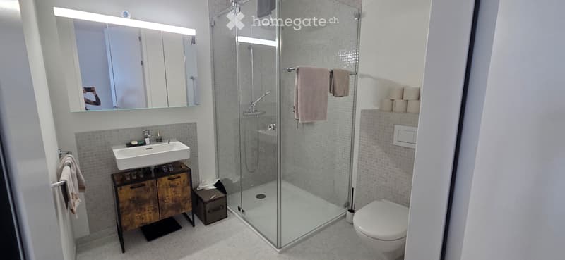 2.5 zimmer in regensdorf (2)