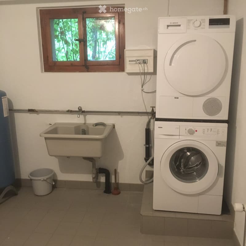 Möbilierte 3.5 Zr Wohnung mit neuer Küche (5)
