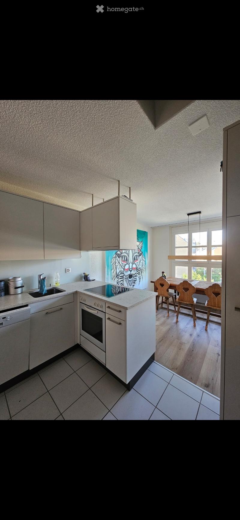 3.5 Zimmerwohnung (5)