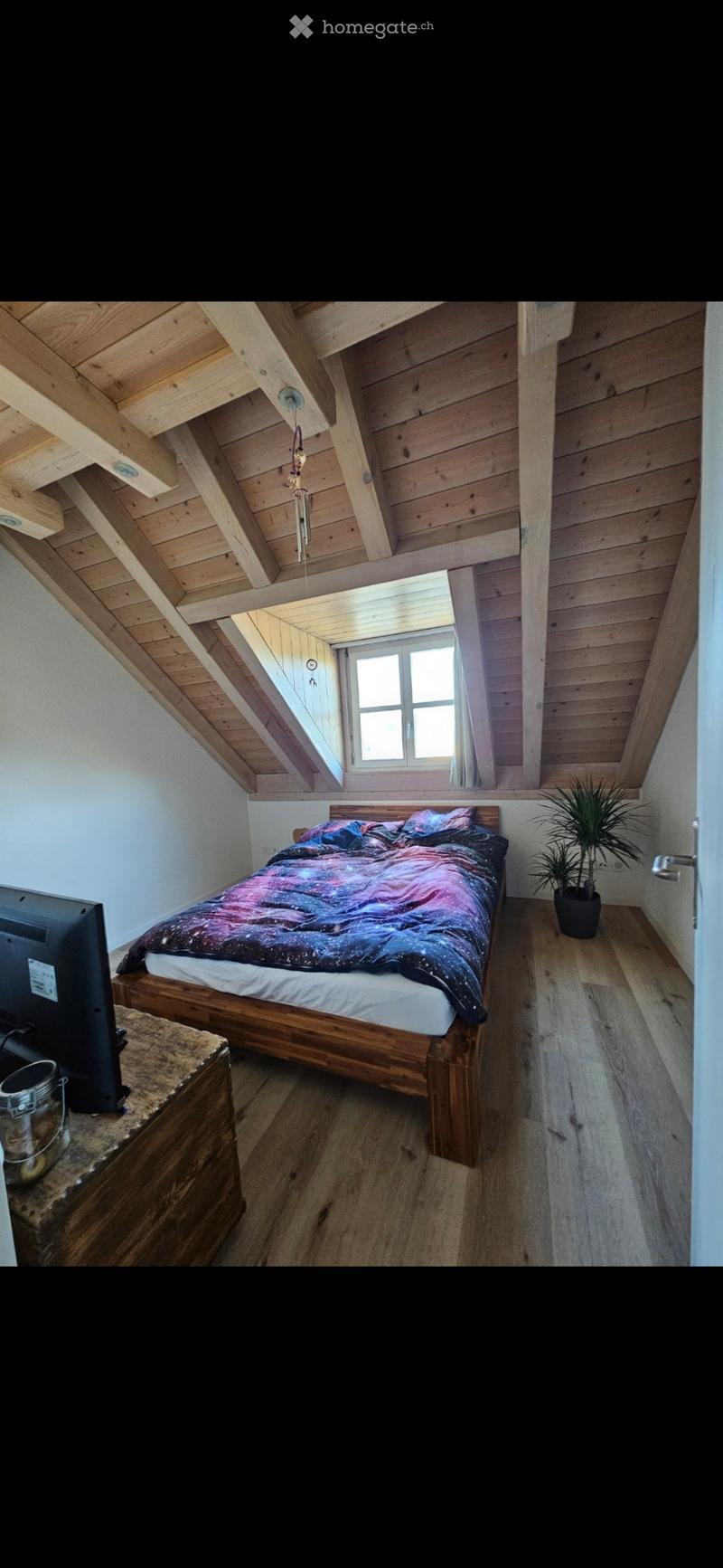 3.5 Zimmerwohnung (1)