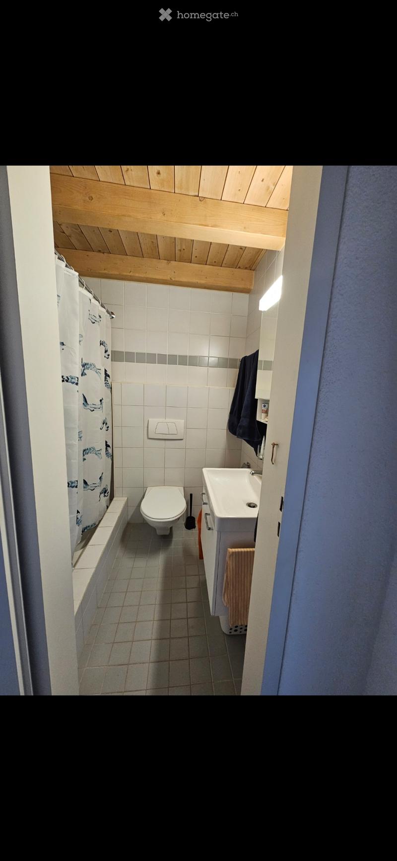 3.5 Zimmerwohnung (2)