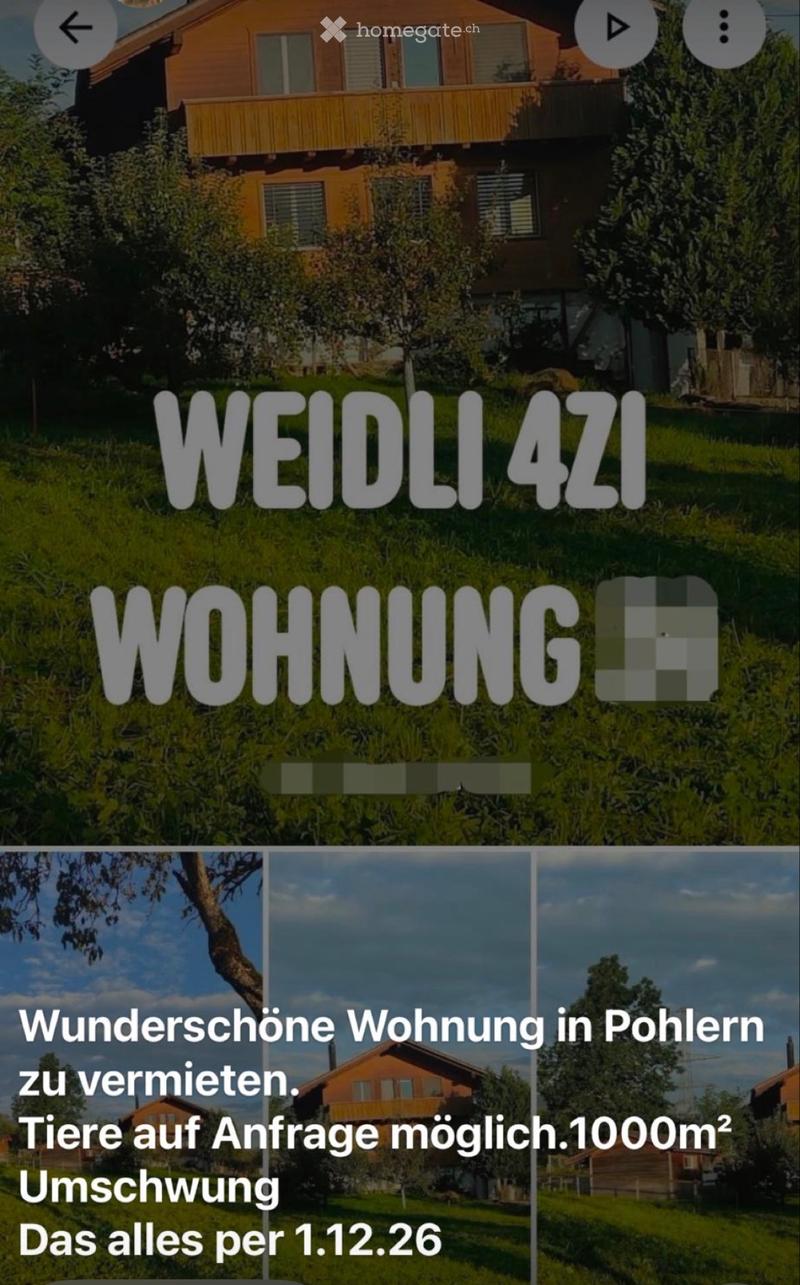 4.5 Zimmer Wohnung zu vermieten. (1)