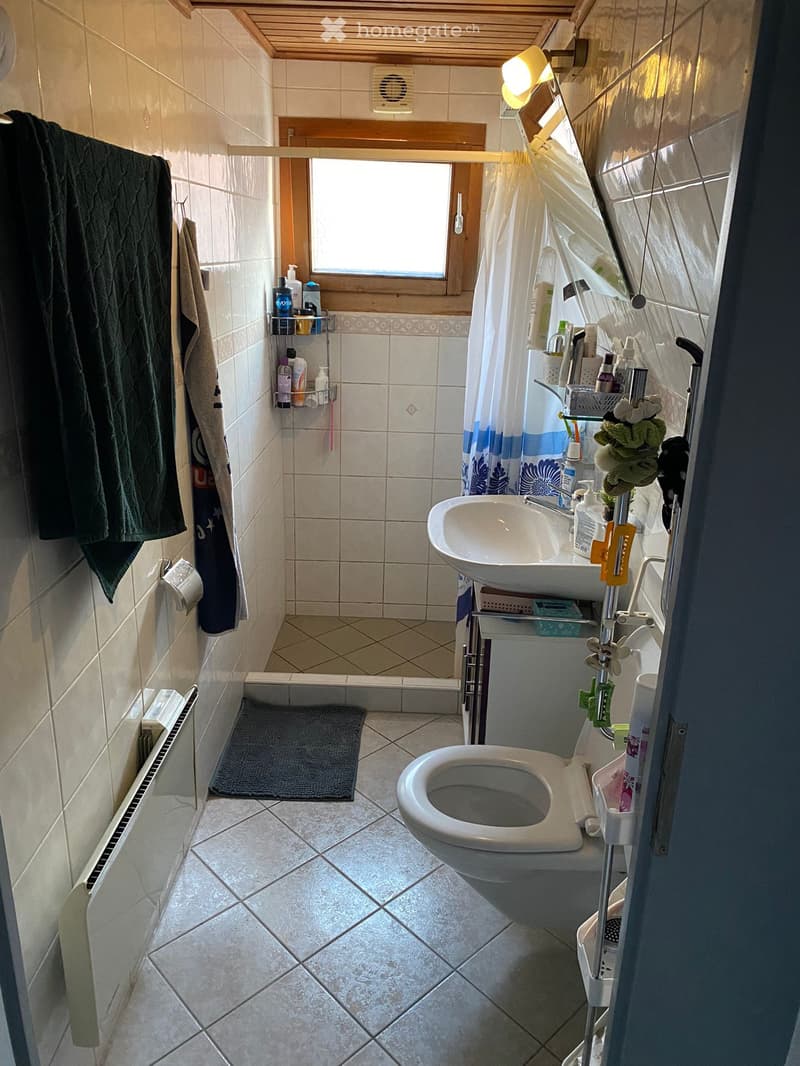 Zu Vermieten in Varen VS (5)