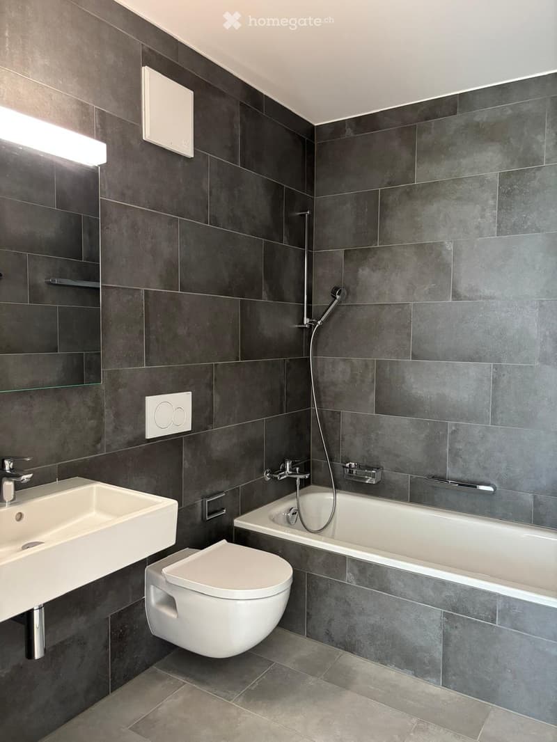 AFFITTO APP. 3,5 A BELLINZONA (9)