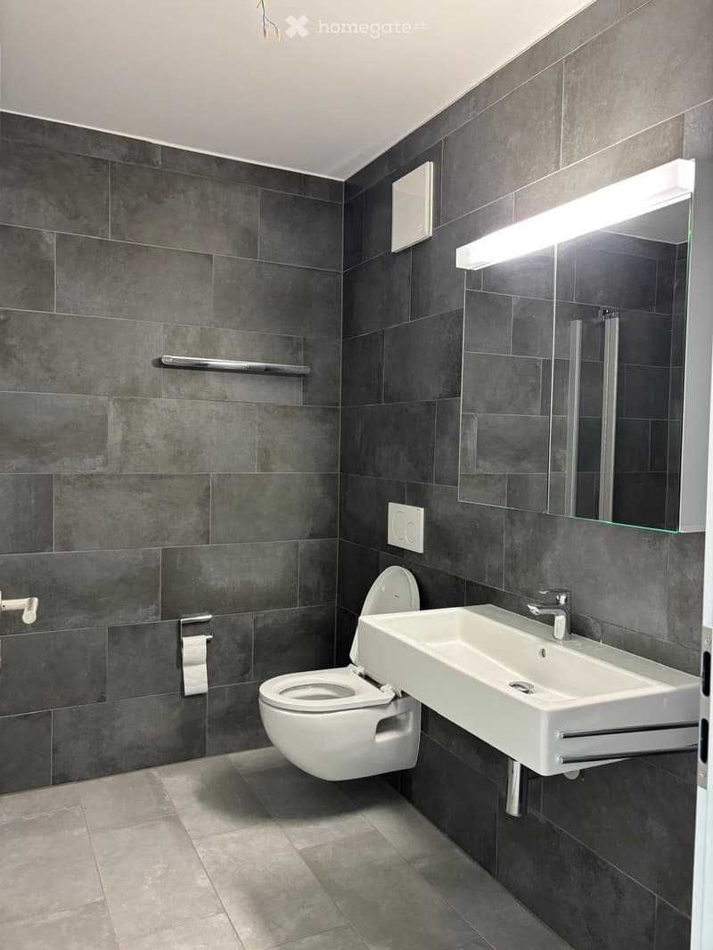 AFFITTO APP. 3,5 A BELLINZONA (12)