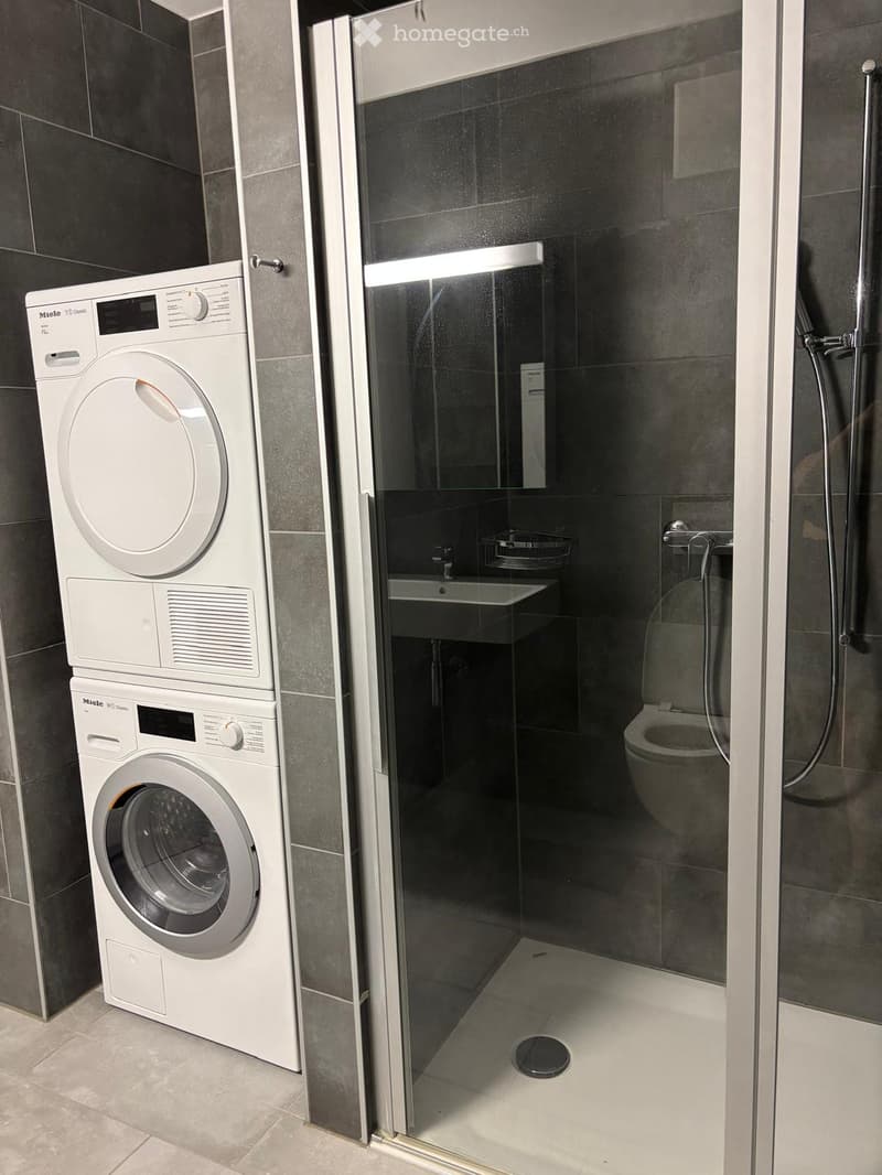 AFFITTO APP. 3,5 A BELLINZONA (13)