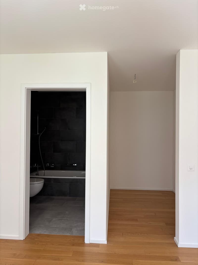 AFFITTO APP. 3,5 A BELLINZONA (8)