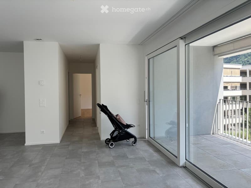 AFFITTO APP. 3,5 A BELLINZONA (4)