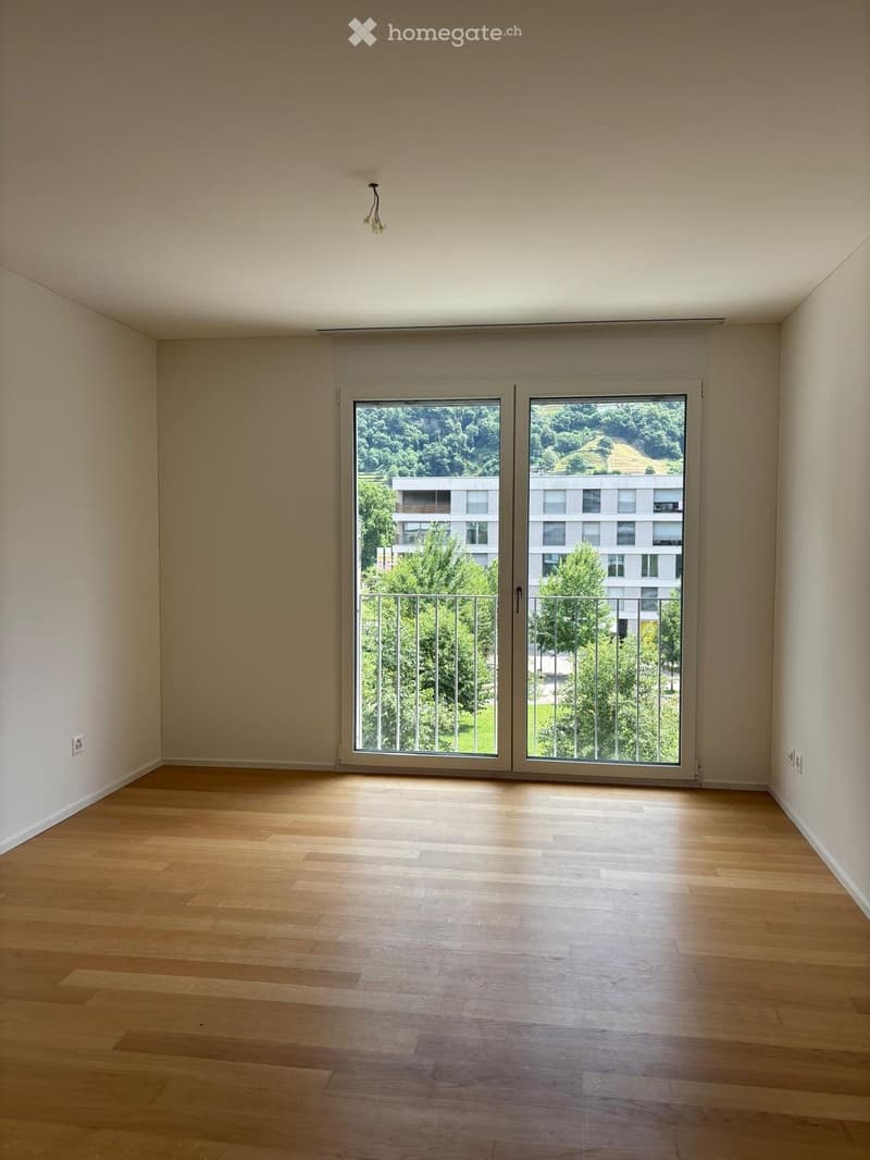 AFFITTO APP. 3,5 A BELLINZONA (7)