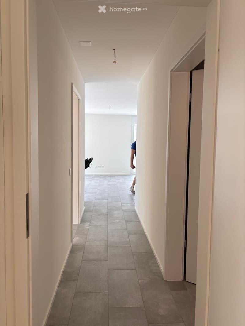 AFFITTO APP. 3,5 A BELLINZONA (6)