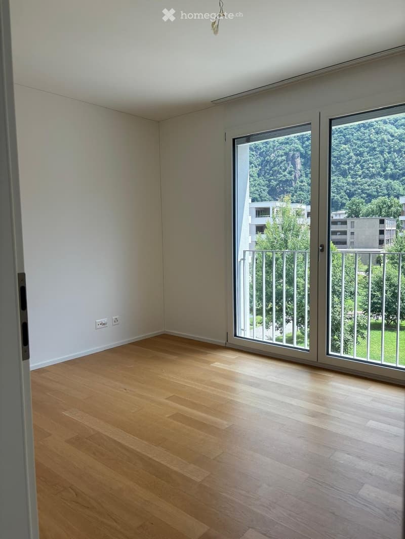 AFFITTO APP. 3,5 A BELLINZONA (11)