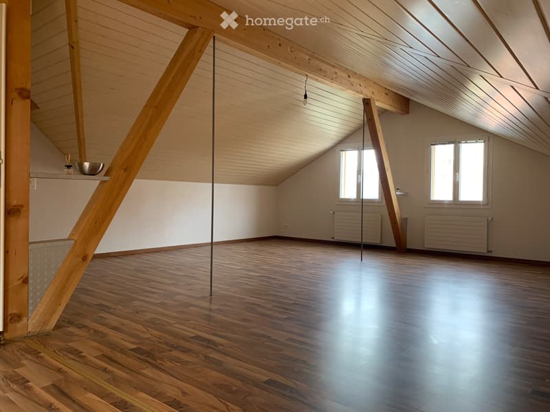 1 Zimmer Wohnung (2)