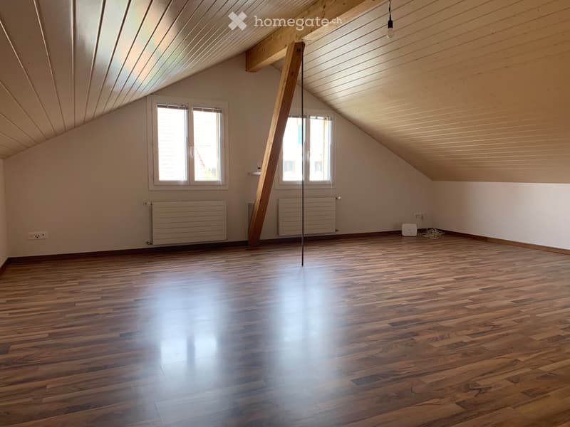1 Zimmer Wohnung (3)