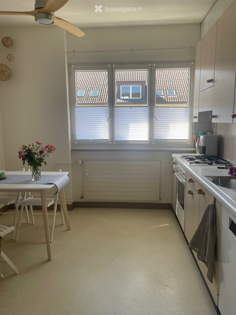 Möbliertes 1 Zimmer Idealer Lage in Herzen Zürich. (3)