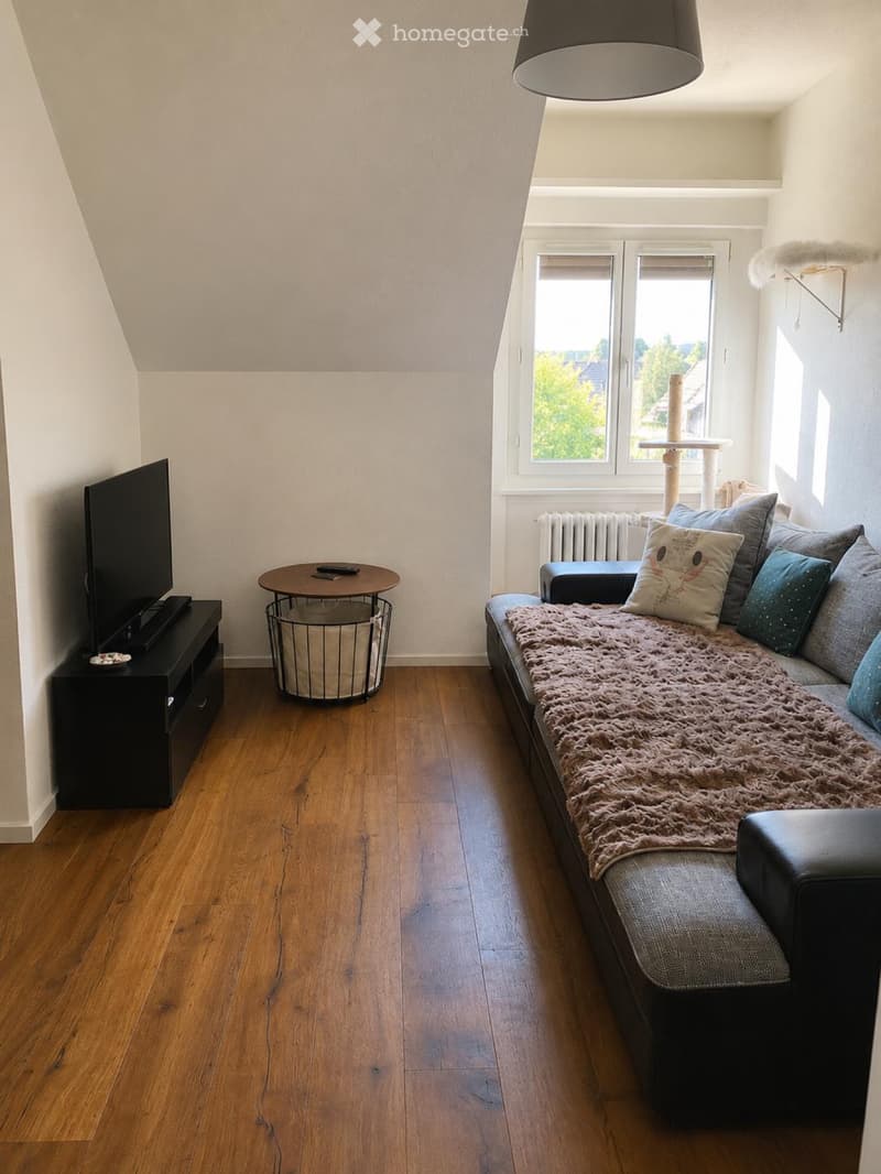 Nachmieter für 3.5 Zimmer Wohnung gesucht (3)
