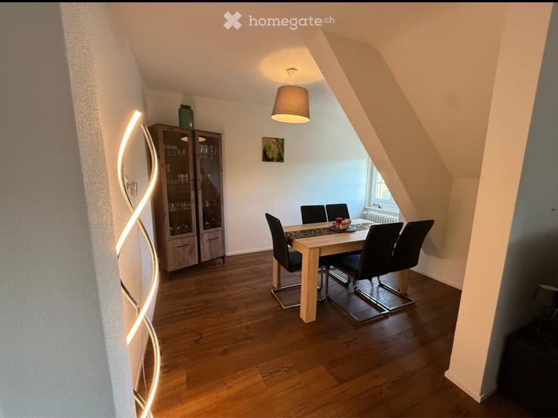 Nachmieter für 3.5 Zimmer Wohnung gesucht (2)