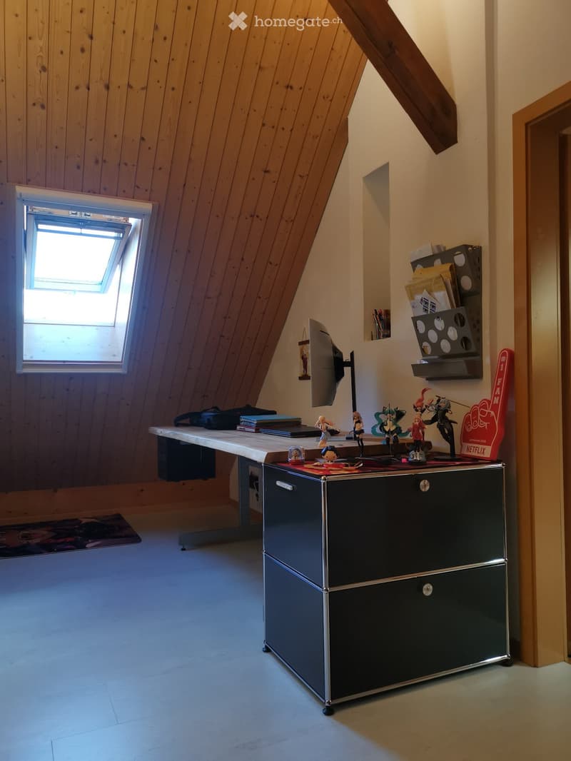 WG-ZIMMER IN GOLDIWIL (5)