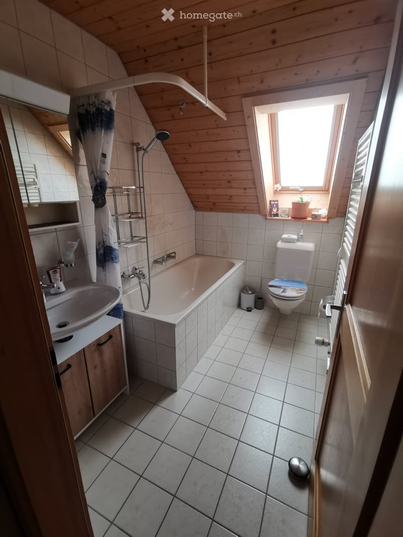 WG-ZIMMER IN GOLDIWIL (3)
