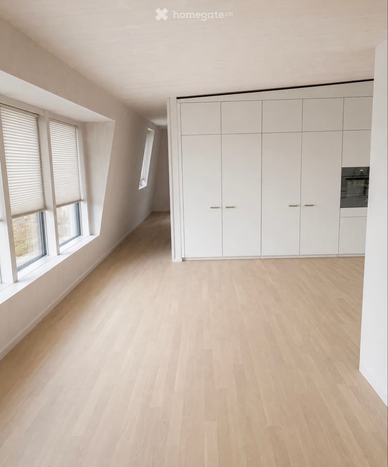 Moderne 2.5-Zimmer-Wohnung Nachmieter gesucht (1)