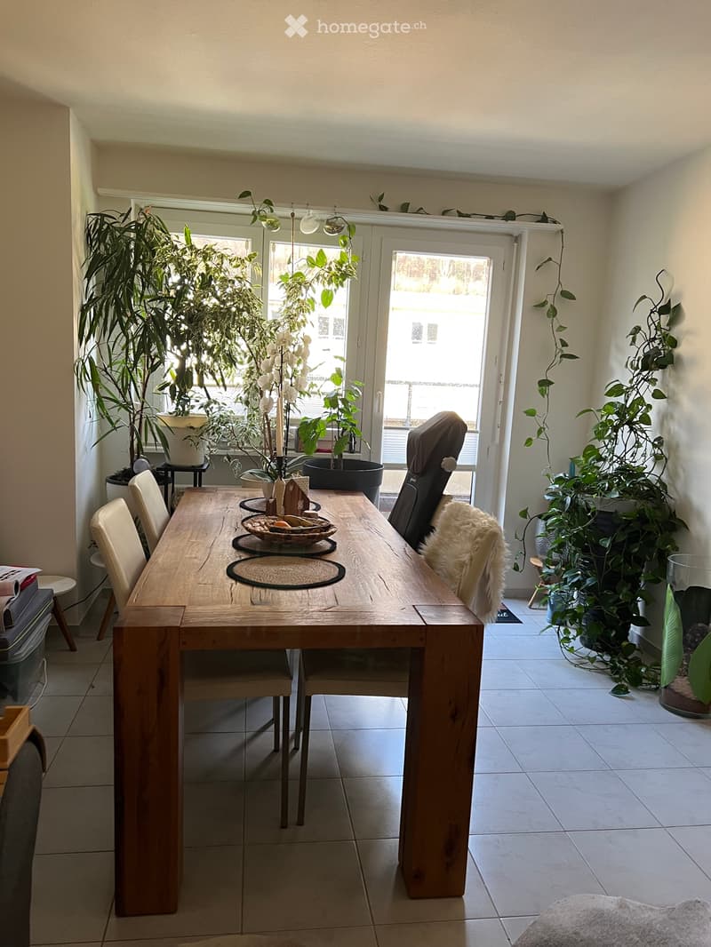 Nachmieter für mobilierte Aktika Wohnung  ab Februar 2027 (2)