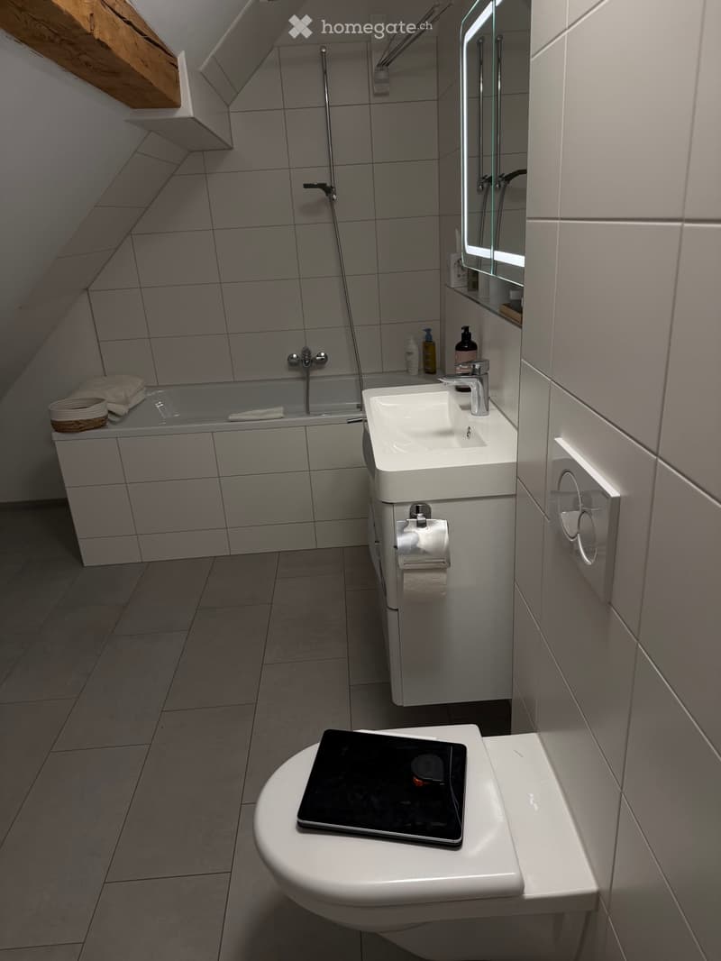 Gemütliche Dachgeschosswohnung mit Balkon (4)