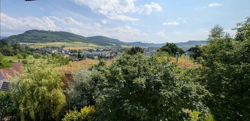 Freistehend, 5.5-Zimmer mit Garten und viel Platz (1)