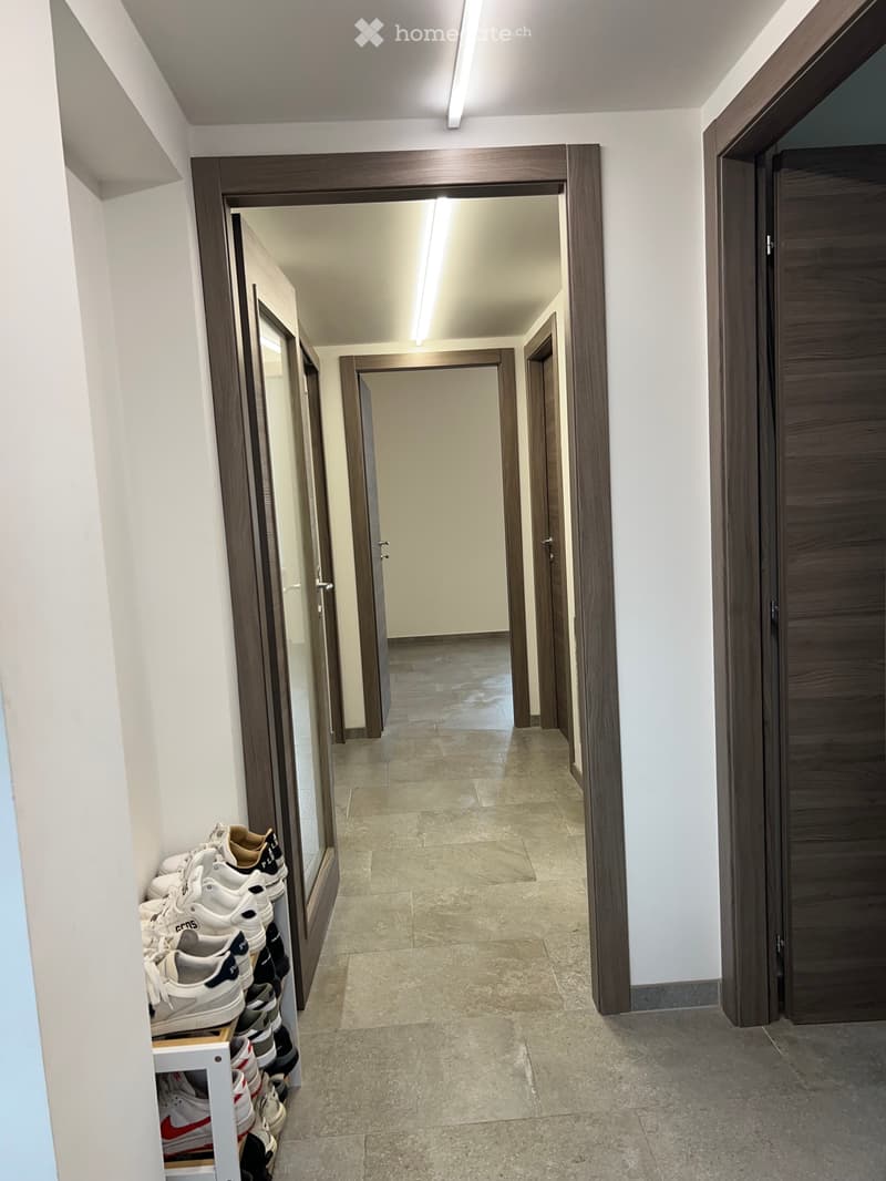 Appartamento 3,5 (4)