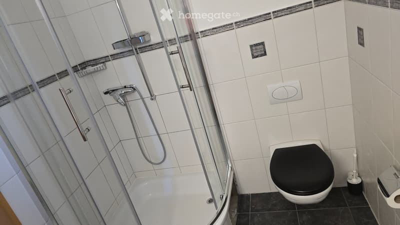 grosses möbliertes Studio mit Galerie (5)