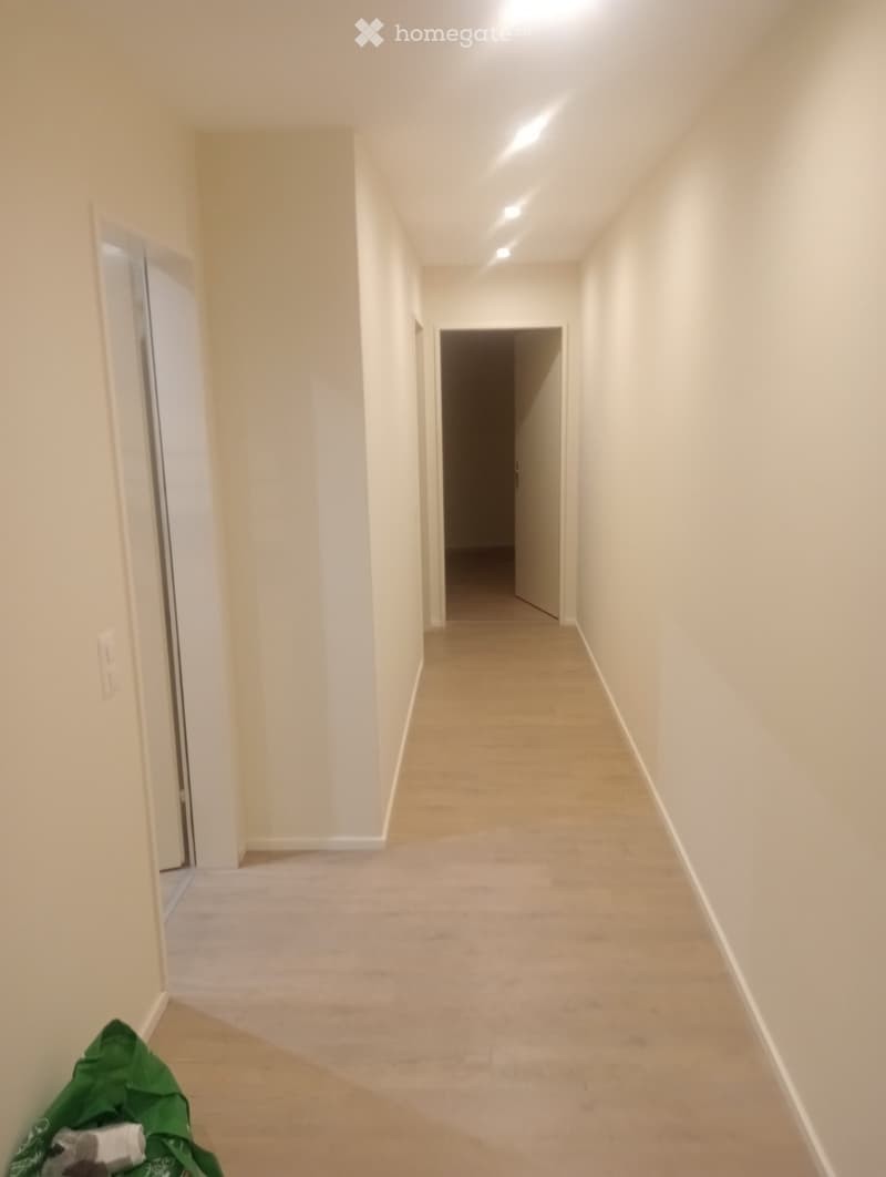 Chambre à louer à Ascona Ti. (4)