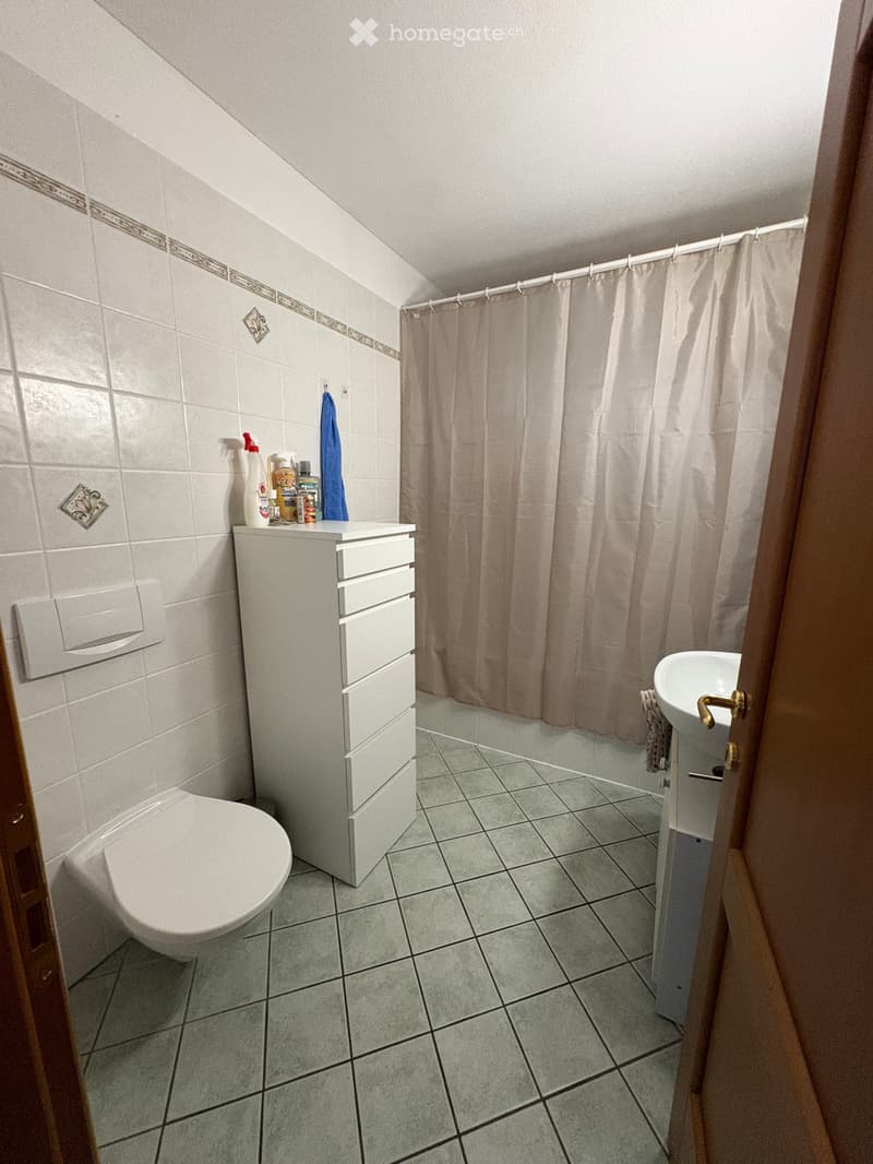 CERCO SUBENTRANTE  2.5 LOCALI AD ARTORE, BELLINZONA (5)