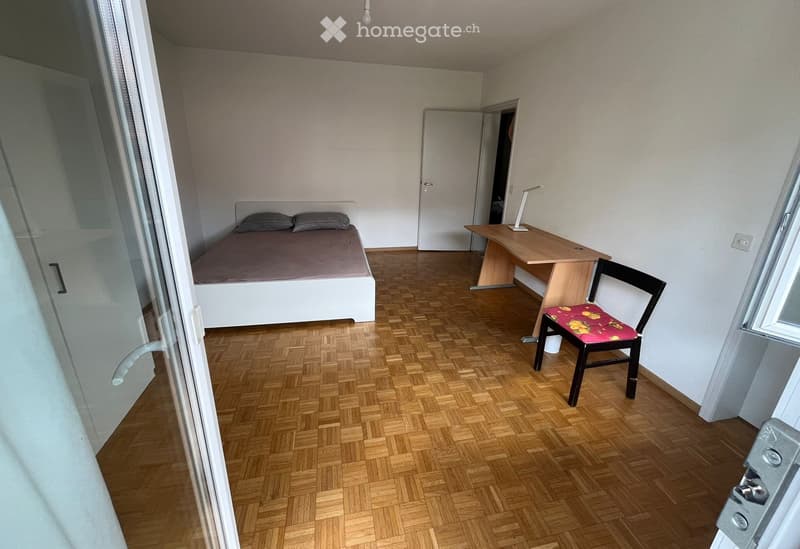 Stanza lugano con due inquilini (4)