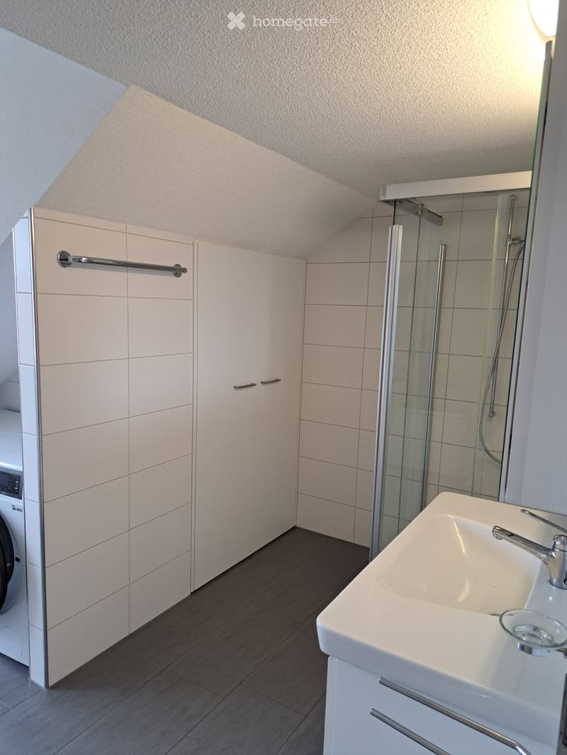 Charmante 3.5 - Zimmer - Dachwohnung (4)