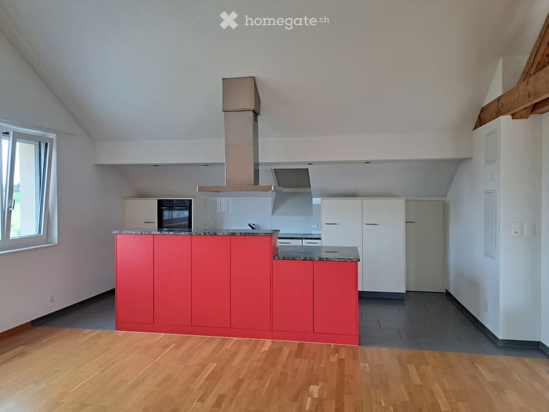Charmante 3.5 - Zimmer - Dachwohnung (1)