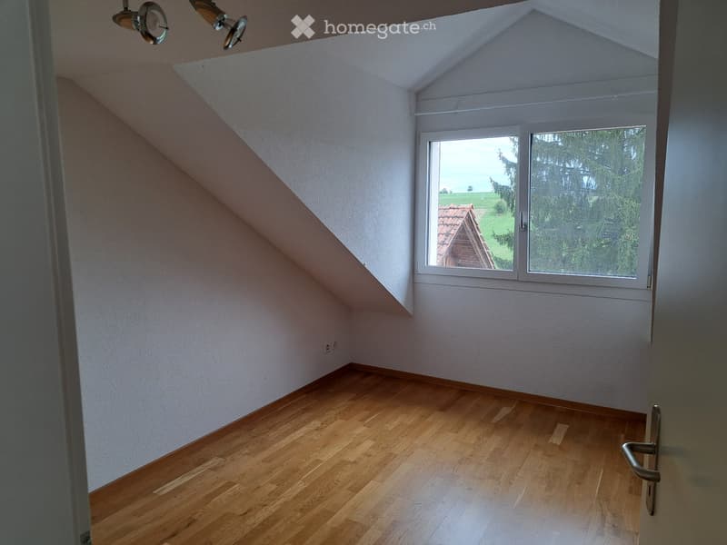 Charmante 3.5 - Zimmer - Dachwohnung (5)