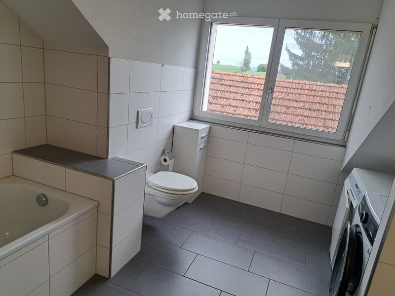 Charmante 3.5 - Zimmer - Dachwohnung (3)