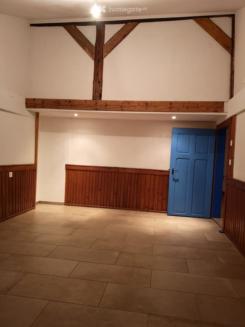 APPARTEMENT DE 4,5 PIÈCES RÉNOVÉ - AVEC ACCÈS AU JARDIN (3)