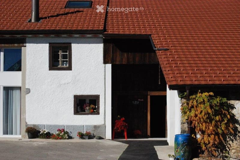 APPARTEMENT DE 4,5 PIÈCES RÉNOVÉ - AVEC ACCÈS AU JARDIN (5)