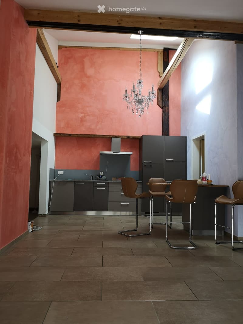 APPARTEMENT DE 4,5 PIÈCES RÉNOVÉ - AVEC ACCÈS AU JARDIN (1)